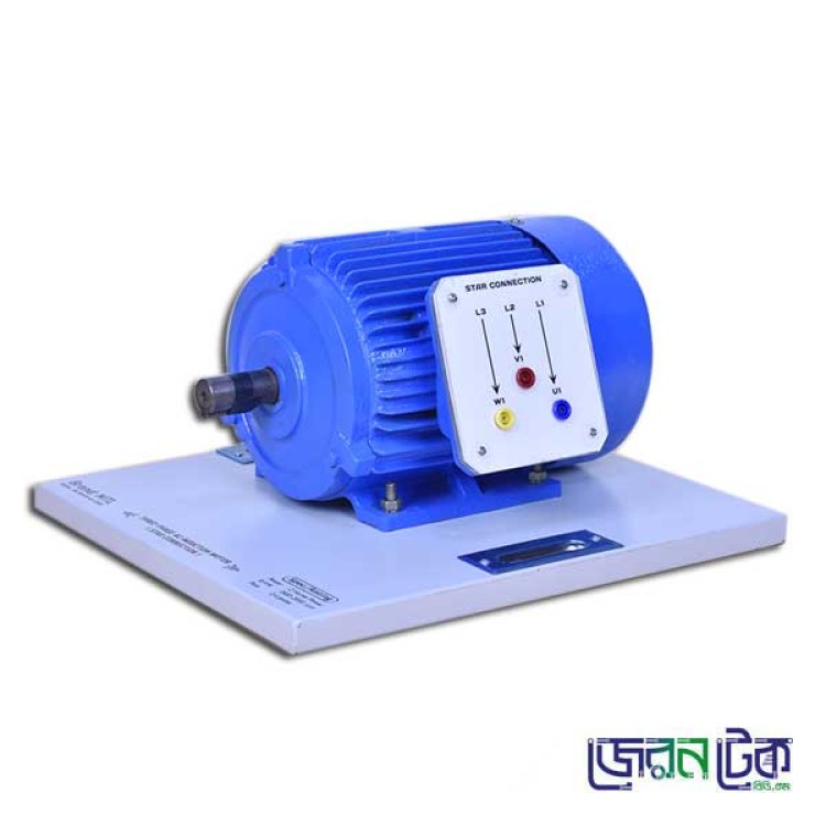 Three-Phase AC Induction Motor ( Star Connection )