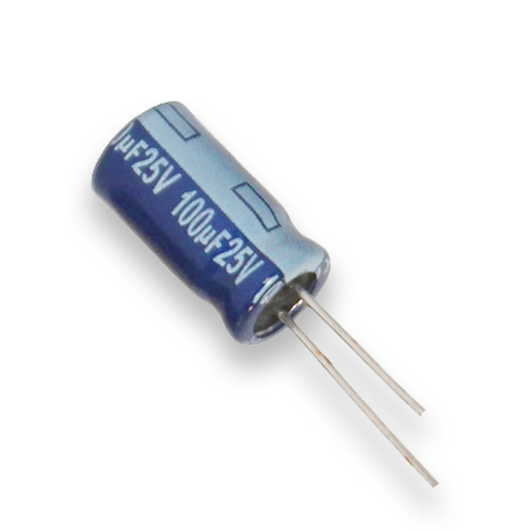 100uF 25V Electrolytic Capacitor